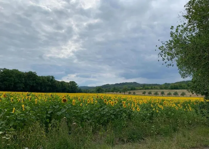 In ブランケンブルク