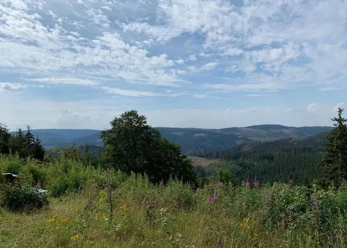 In * ブランケンブルク